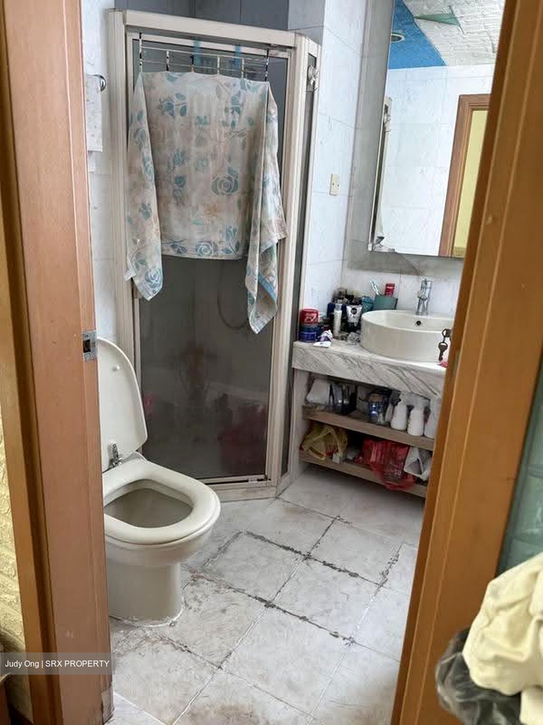 Hillview Regency (D23), Condominium #606927881